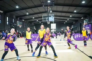 威枫体育篮球训练营门票
